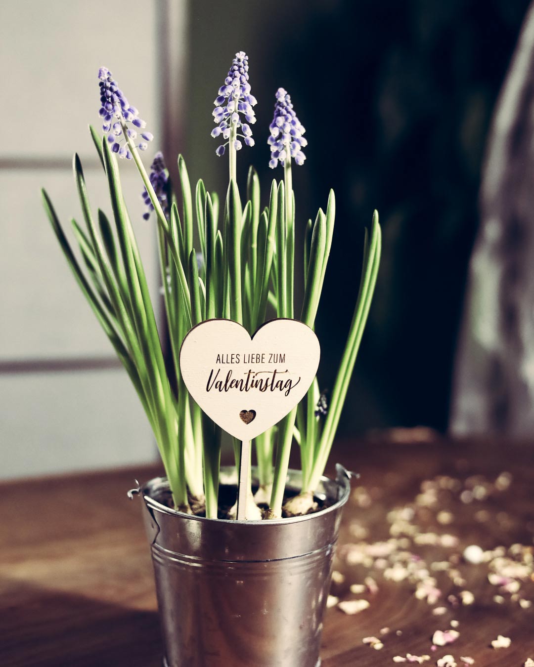 Valentinstag Blumenstecker im Hyzinthen Topf